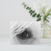 白黒馬の目 ポストカード (スタンド正面)