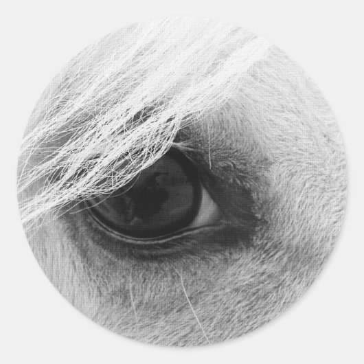 白黒馬の目 ラウンドシール (正面)