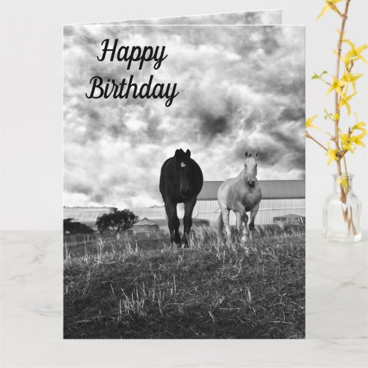 白黒馬グリーティング、誕生日カード カード (黄色い花)