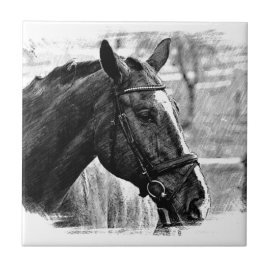 白黒馬スケッチ タイル (正面)