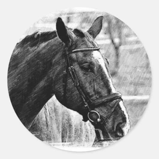 白黒馬スケッチ ラウンドシール (正面)