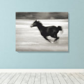 白黒馬 キャンバスプリント (インサイチュ (ウッドフロア))