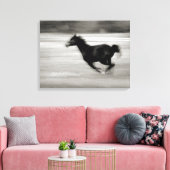 白黒馬 キャンバスプリント (インサイチュ (リビング))