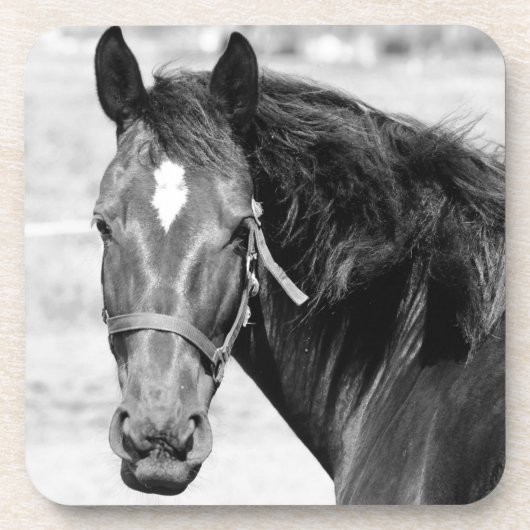 白黒馬 コースター (正面)