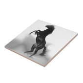 白黒馬 タイル (側面)