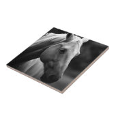 白黒馬 タイル (側面)