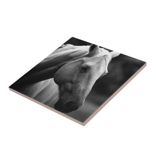 白黒馬 タイル (側面)