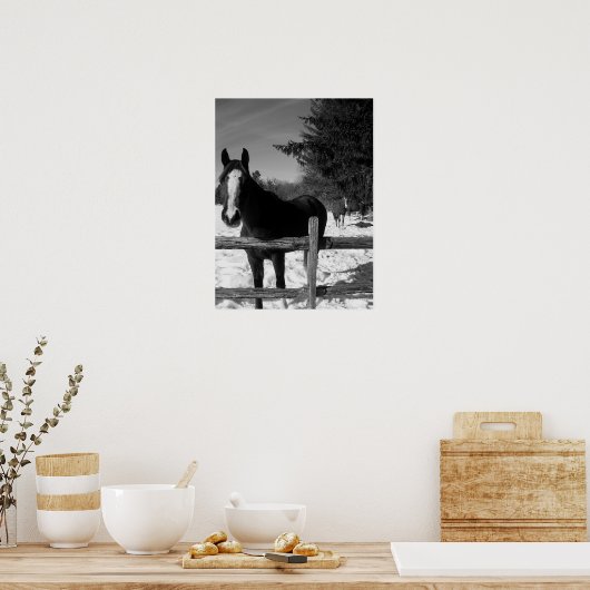白黒馬 ポスター (キッチン)