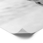 白黒馬 ポスター (角)