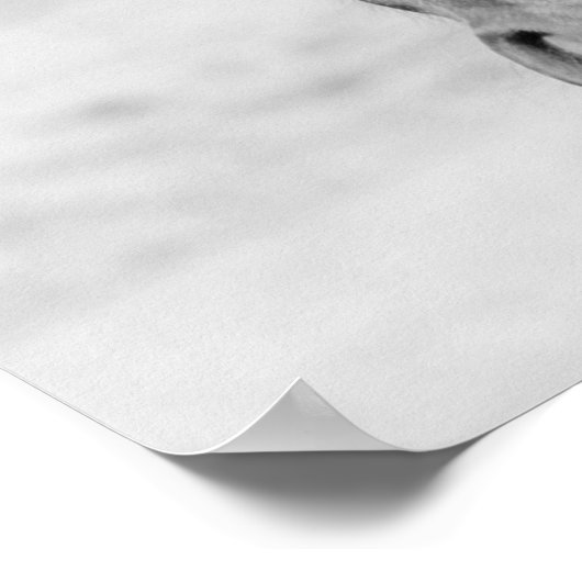 白黒馬 ポスター (角)