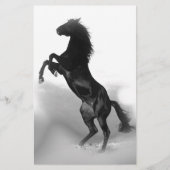 白黒馬 便箋 (正面)