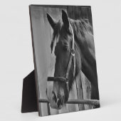 白黒馬 – 動物写真アート フォトプラーク (側面)