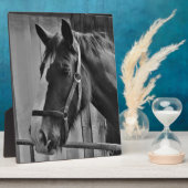 白黒馬 – 動物写真アート フォトプラーク (側面)