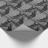 白黒馬 – 動物写真アート ラッピングペーパー (角)