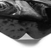 白黒魚 ポスター (角)