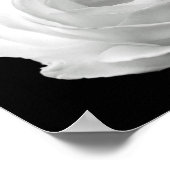 白黒鮮やかフローラ写真 ポスター (角)