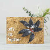 白黒鶏のサークルスイカ食べ物のスイカ 招待状 (スタンド正面)