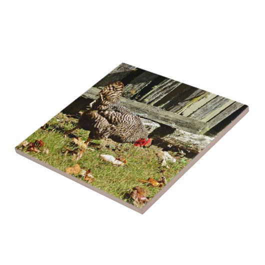 白黒鶏フェンス タイル (側面)