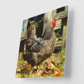 白黒鶏 スクエア壁時計 (傾斜)