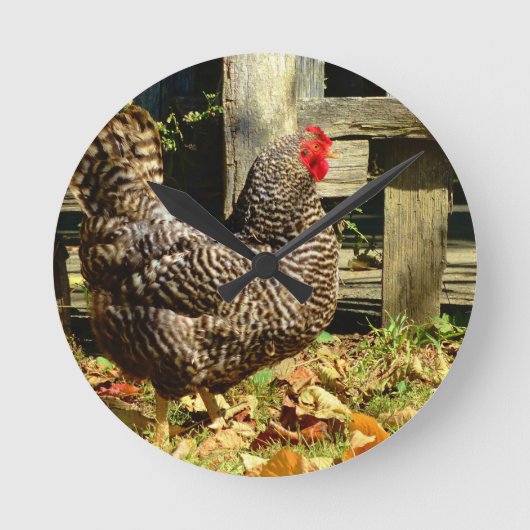白黒鶏 ラウンド壁時計 (正面)