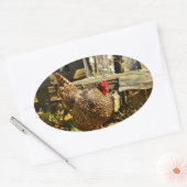 白黒鶏 楕円形シール (封筒)