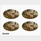 白黒鶏 楕円形シール (シート)