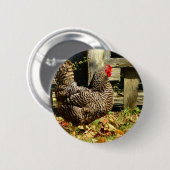 白黒鶏 缶バッジ (正面&裏面)