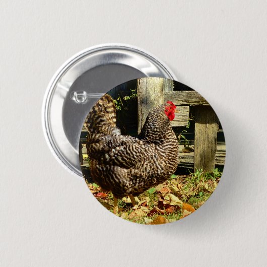 白黒鶏 缶バッジ (正面&裏面)