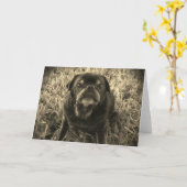 白黒黒いパグの挨拶状 カード (黄色い花)