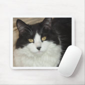 白黒龍毛猫クローズアップ マウスパッド (マウス)