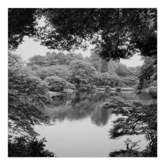 白黒、クール自然ユニークと湖 ポスター (正面)