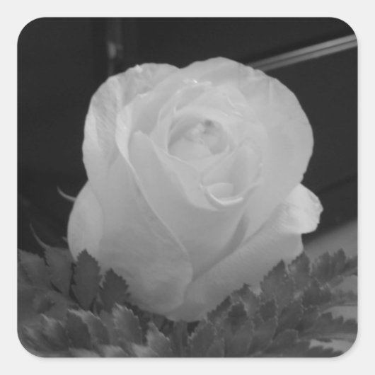 白黒 スクエアシール (正面)