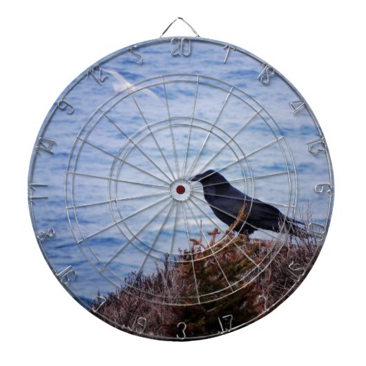 白黒 ダーツボード (正面)