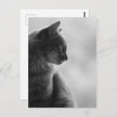 白黒、プロフィールの猫 ポストカード (正面/裏面)