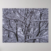 白黒 ポスター (正面)