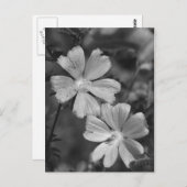 白黒 ポストカード (正面/裏面)