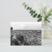 白黒、写真、標準はがき ポストカード (スタンド正面)