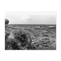 白黒、写真、標準はがき