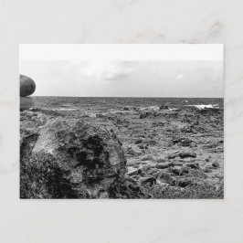 白黒、写真、標準はがき ポストカード