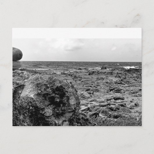 白黒、写真、標準はがき ポストカード (正面)