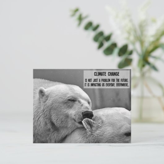白黒 極地のクマの気候変動 ポストカード (スタンド正面)