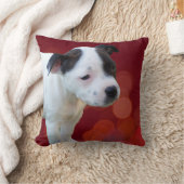 白黒（犬）スタッフォードのブル・テリア・パピー クッション (ブランケット)