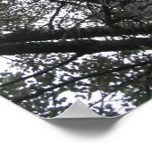 白黒：自然 ポスター (角)