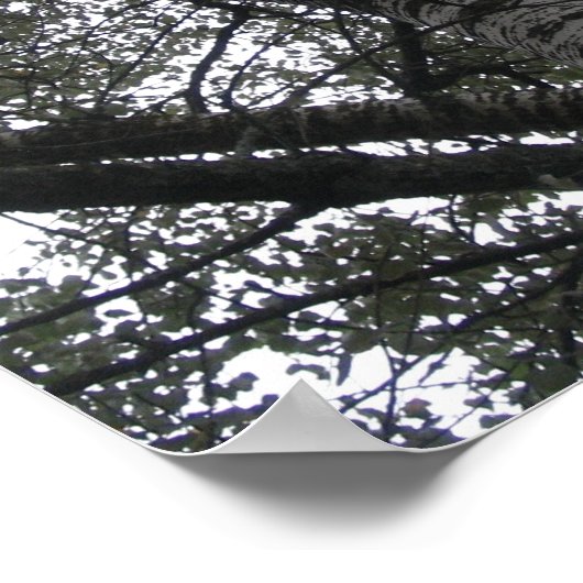 白黒：自然 ポスター (角)