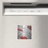 白黒-赤傘 マグネット (インサイチュ (食洗機))