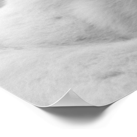 白黒 – Cat 02 ポスター (角)