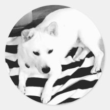 白黒Enoステッカー