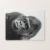 白黒Gorilla写真 – 動物アート ジグソーパズル (横)