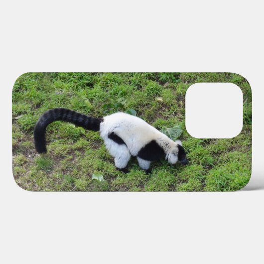白黒Ruffed Lemur #1 iPhone 13 Proケース Case-Mate iPhoneケース (裏面 (横))
