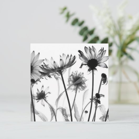 白黒X線花 (スタンド正面)